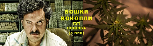 mdpv Краснослободск