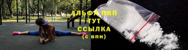 шишки Костерёво