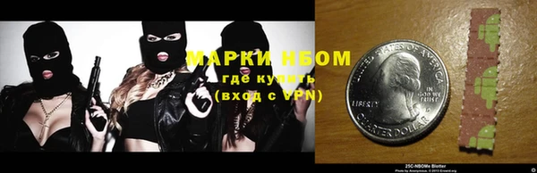 шишки Костерёво