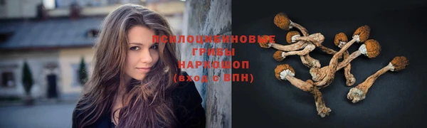 винт Краснотурьинск
