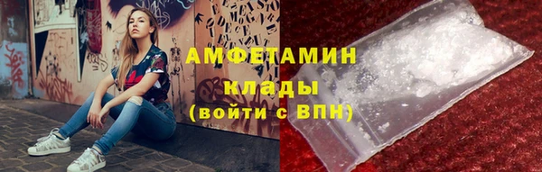 шишки Костерёво