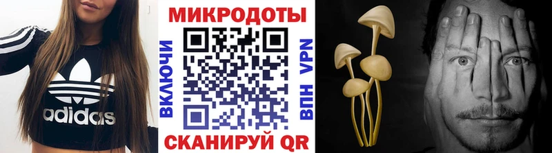 Галлюциногенные грибы Cubensis Лихославль